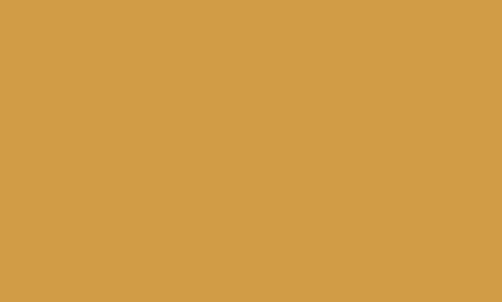 Solid colored background - Hex Code: #D19C46